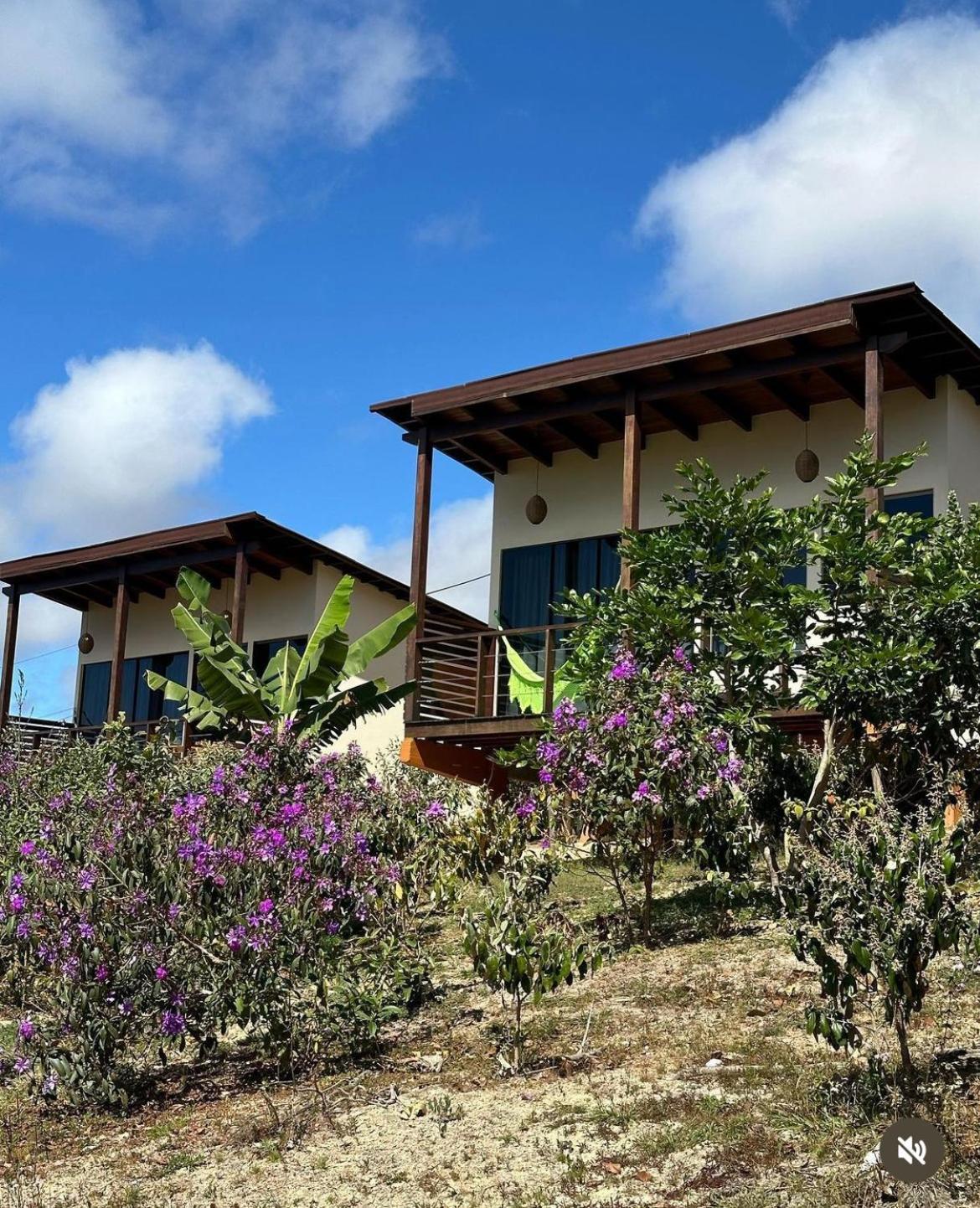 Pousada Rancho Dos Ipes Alto Paraíso de Goiás Bagian luar foto