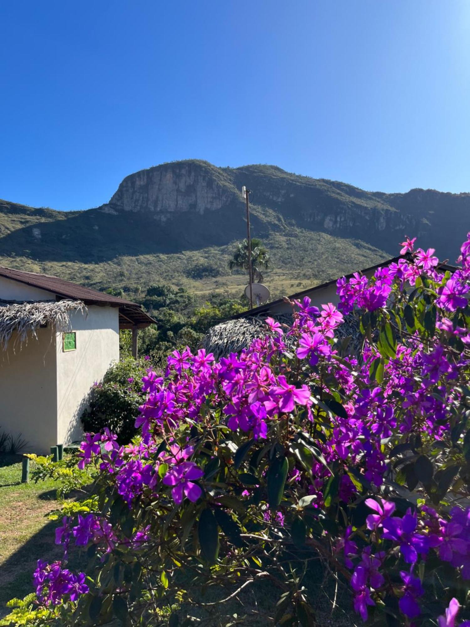 Pousada Rancho Dos Ipes Alto Paraíso de Goiás Bagian luar foto